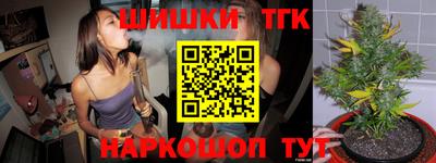 PSILOCYBIN Гатчина